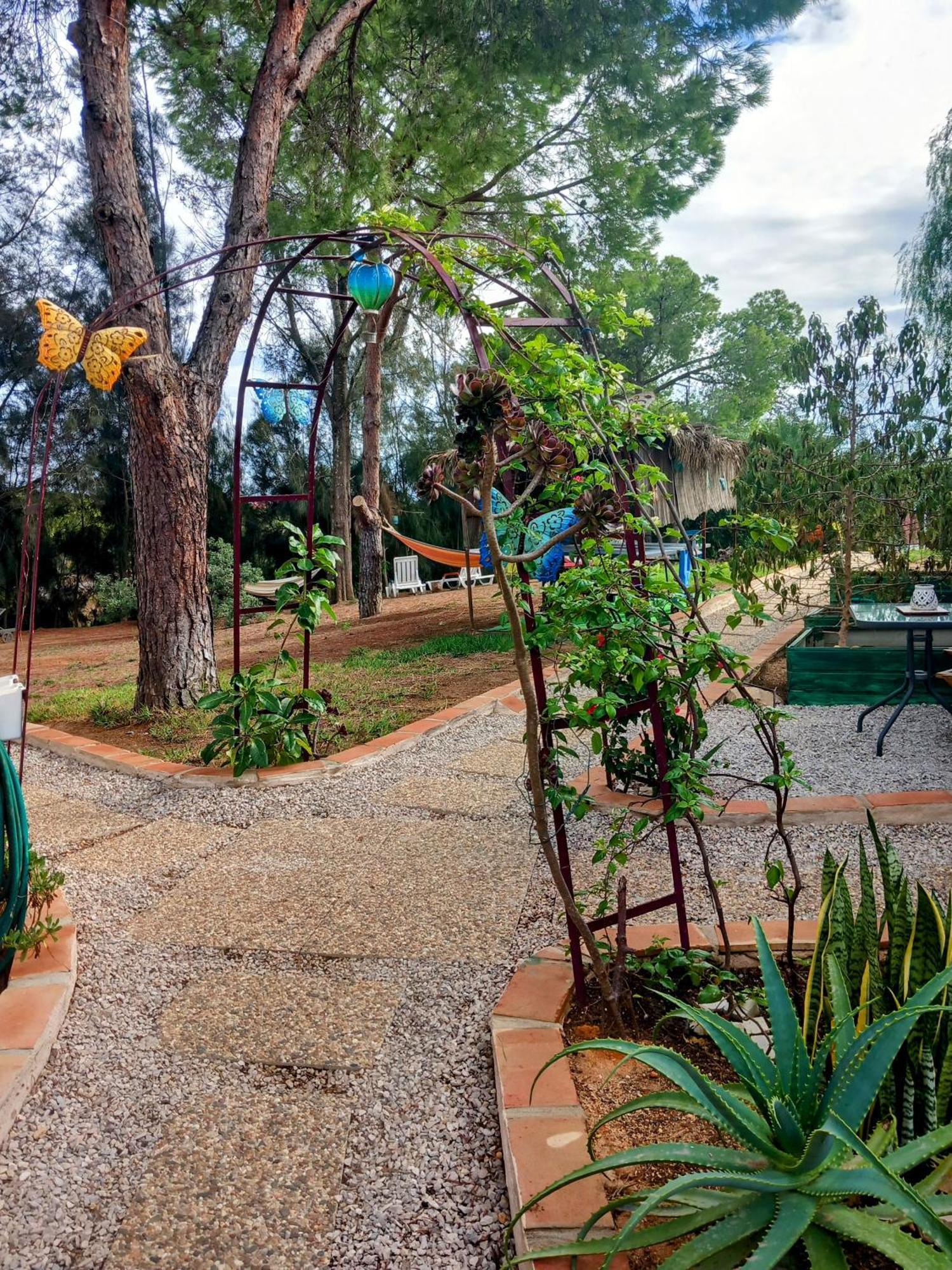 Morphee Valdareina, Piscine Chauffee, Benagil-Carvoeiro Apartment Carvoeiro  Ngoại thất bức ảnh